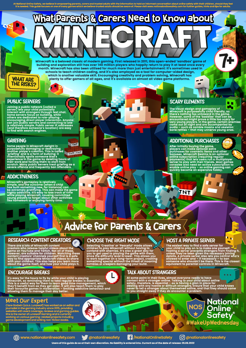 Minecraft As A Mandatory Subject In School? Sweet! Book Review and